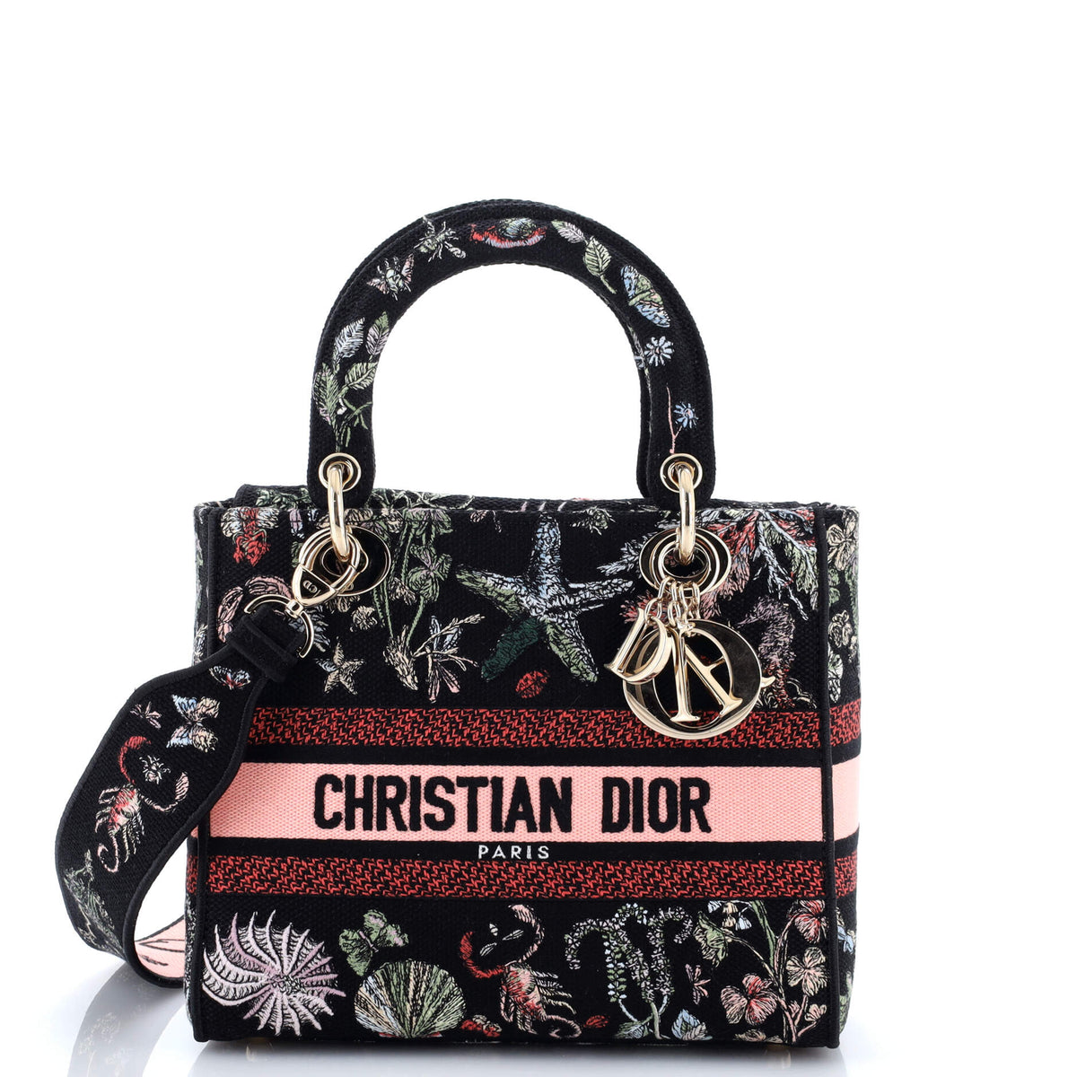 Christian Dior Lady D-Lite Bag Embroidered Canvas Medium