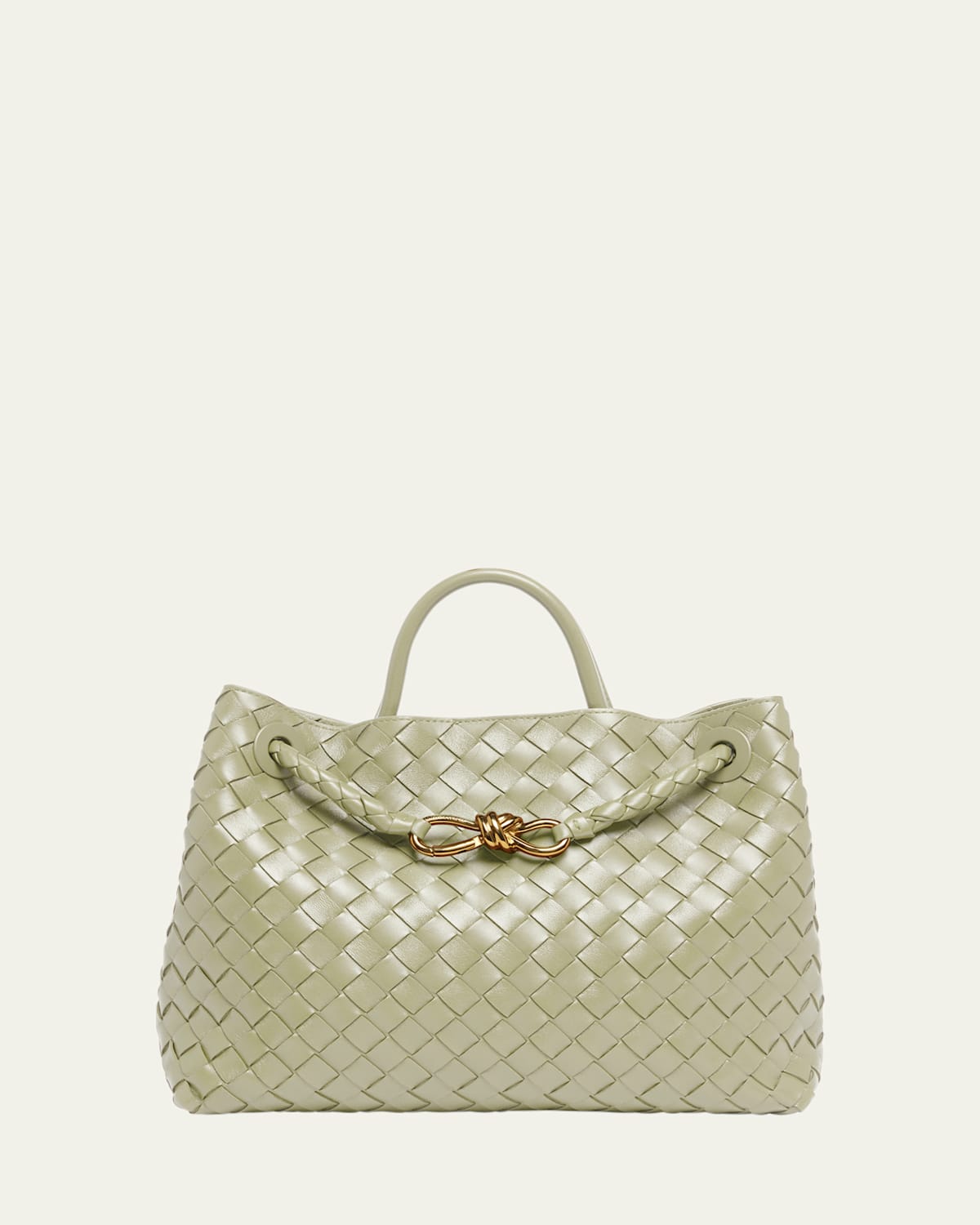 Bottega Veneta Medium Andiamo Bag