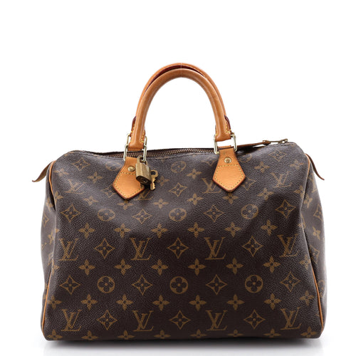 Speedy Handbag Monogram Canvas 30