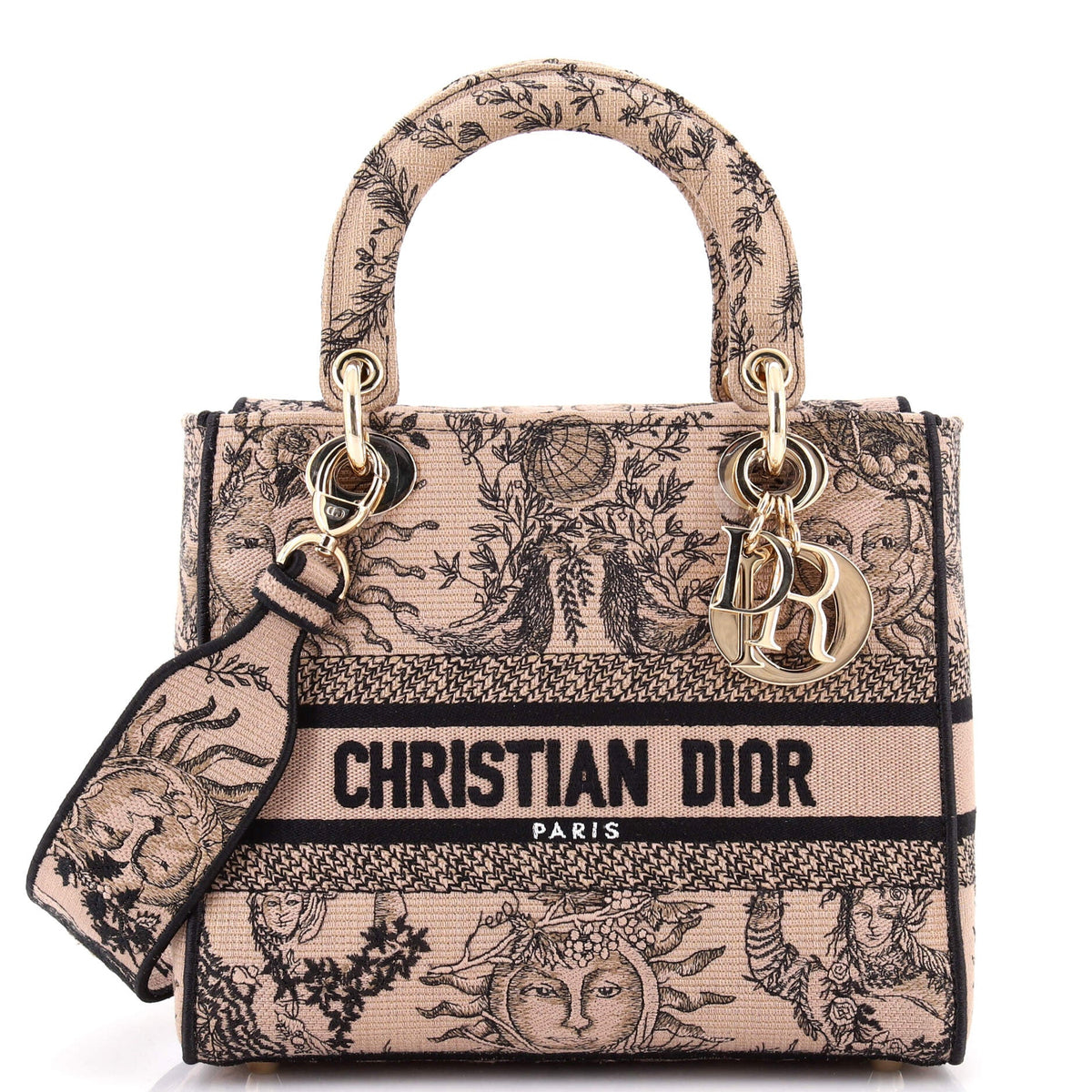 Christian Dior Lady D-Lite Bag Embroidered Canvas Medium
