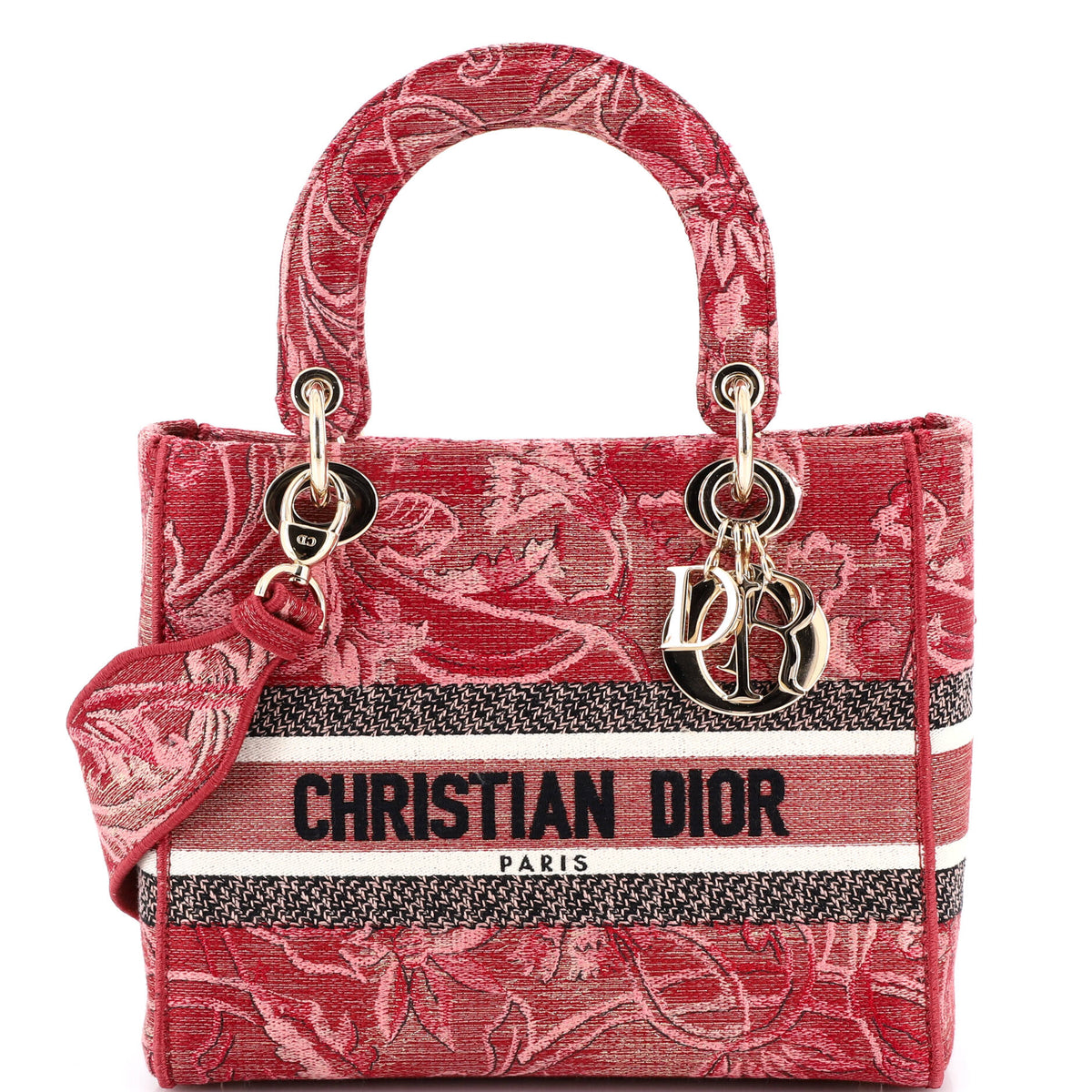 Christian Dior Lady D-Lite Bag Embroidered Canvas Medium