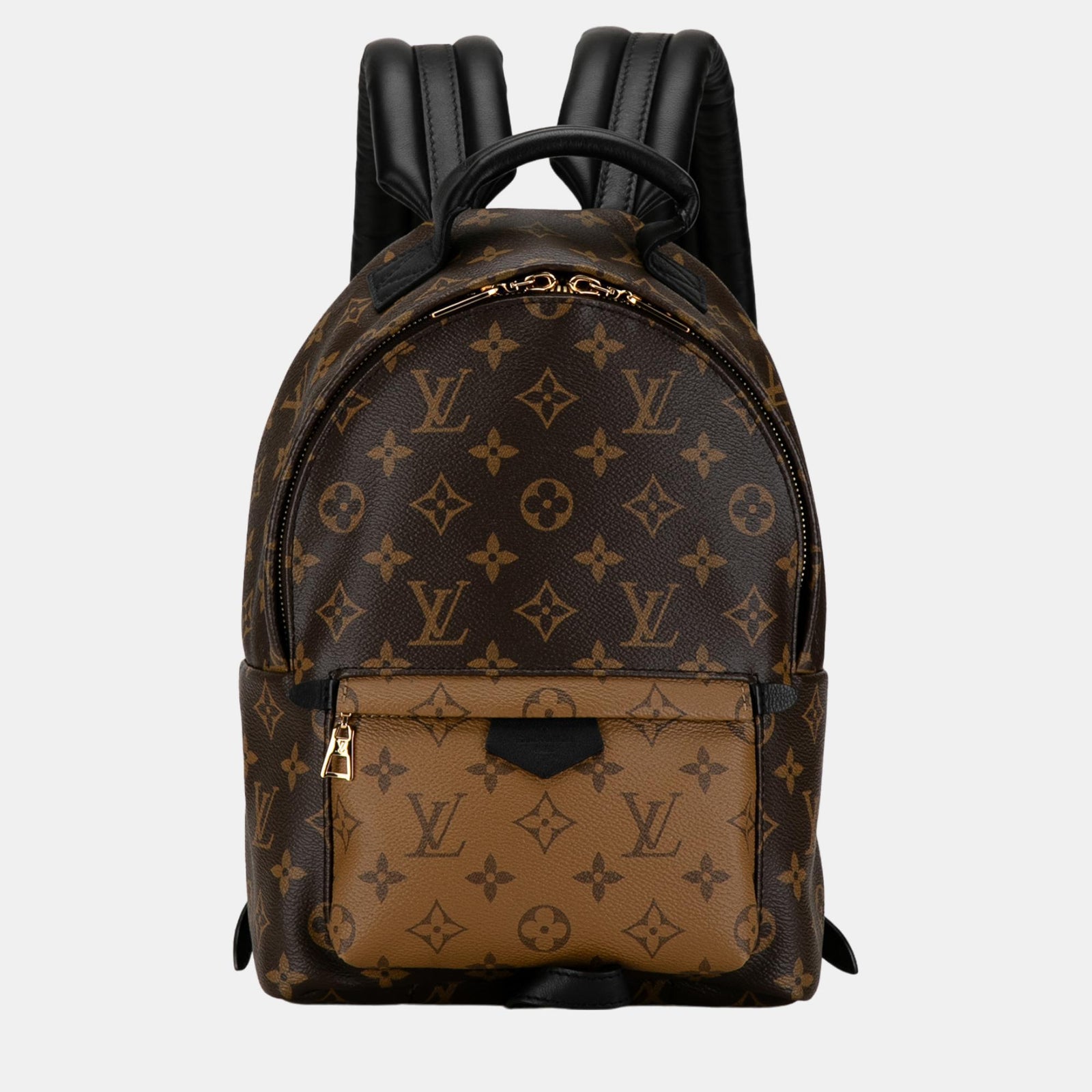 Louis Vuitton Braunes Monogramm Reverse Palm Springs PM