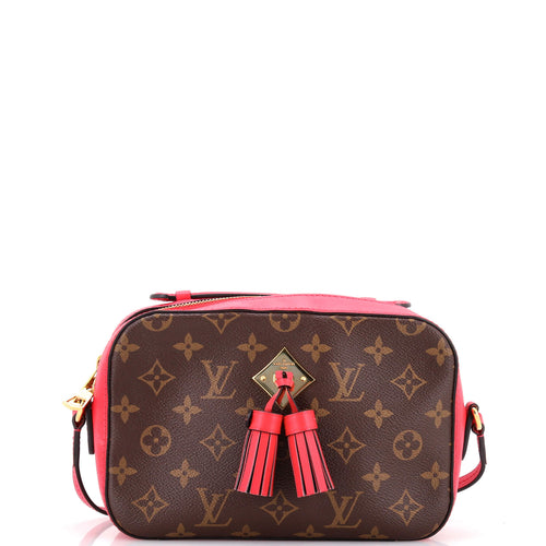 Saintonge Handbag Monogram Canvas with Leather