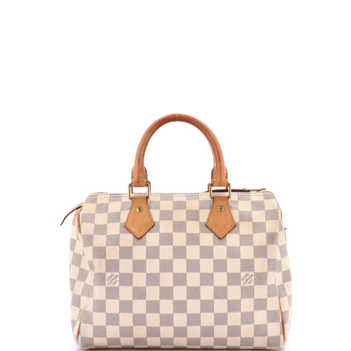 Speedy Handbag Damier 25