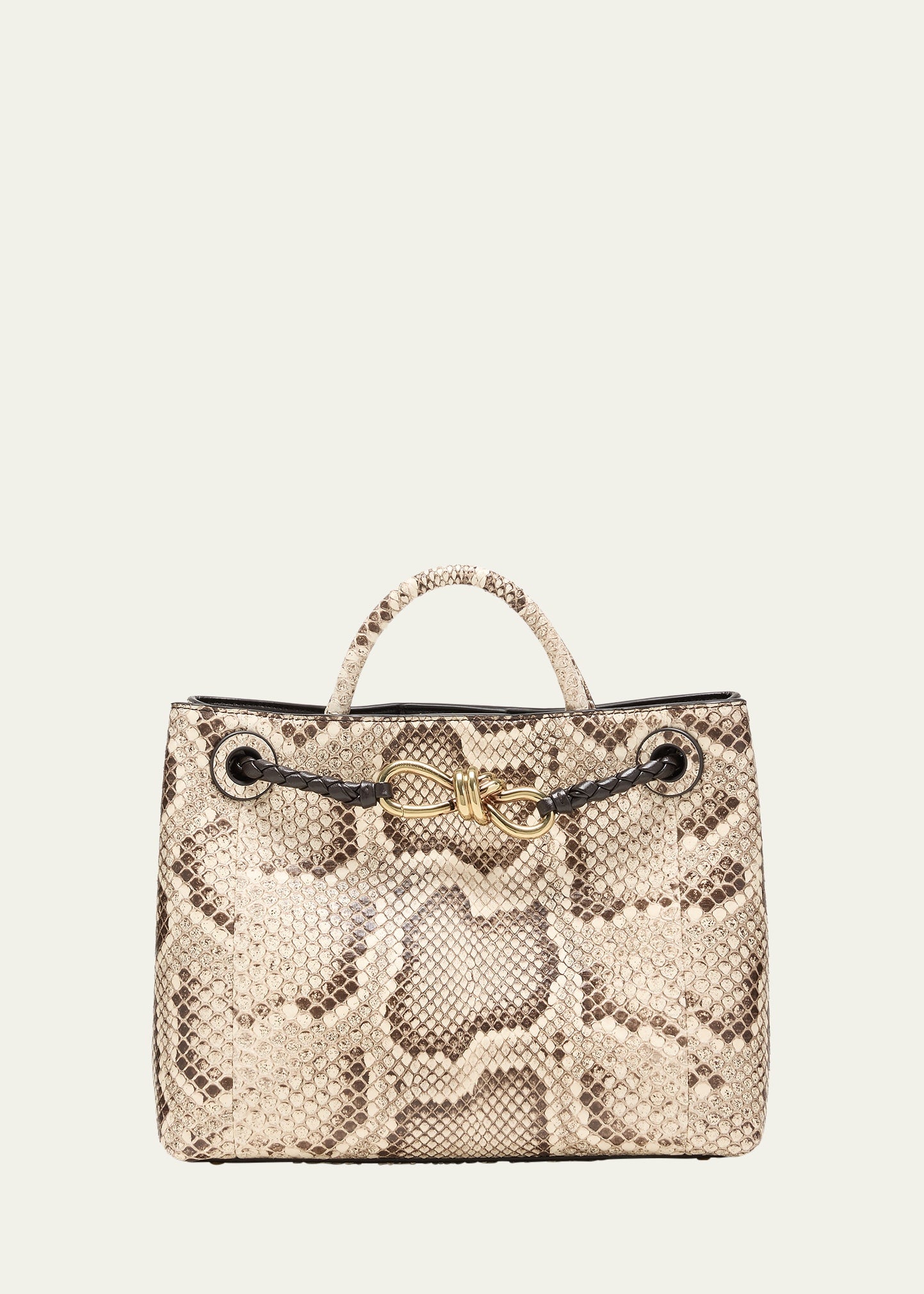 Bottega Veneta Kleine Andiamo Python Tragetasche