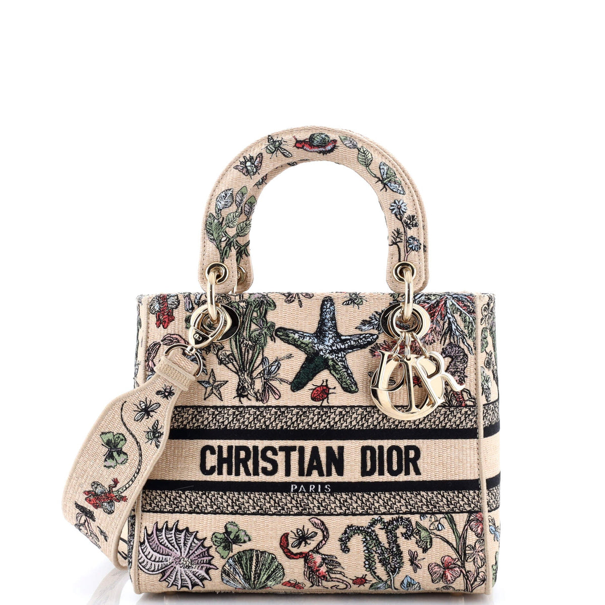 Christian Dior Lady D-Lite Bag Embroidered Raffia Medium
