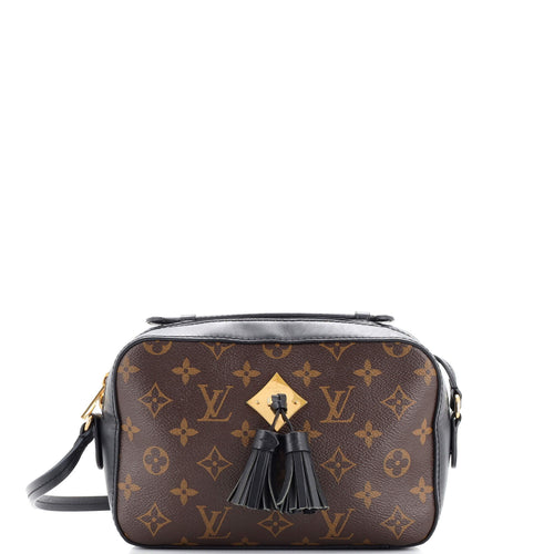 Saintonge Handbag Monogram Canvas with Leather
