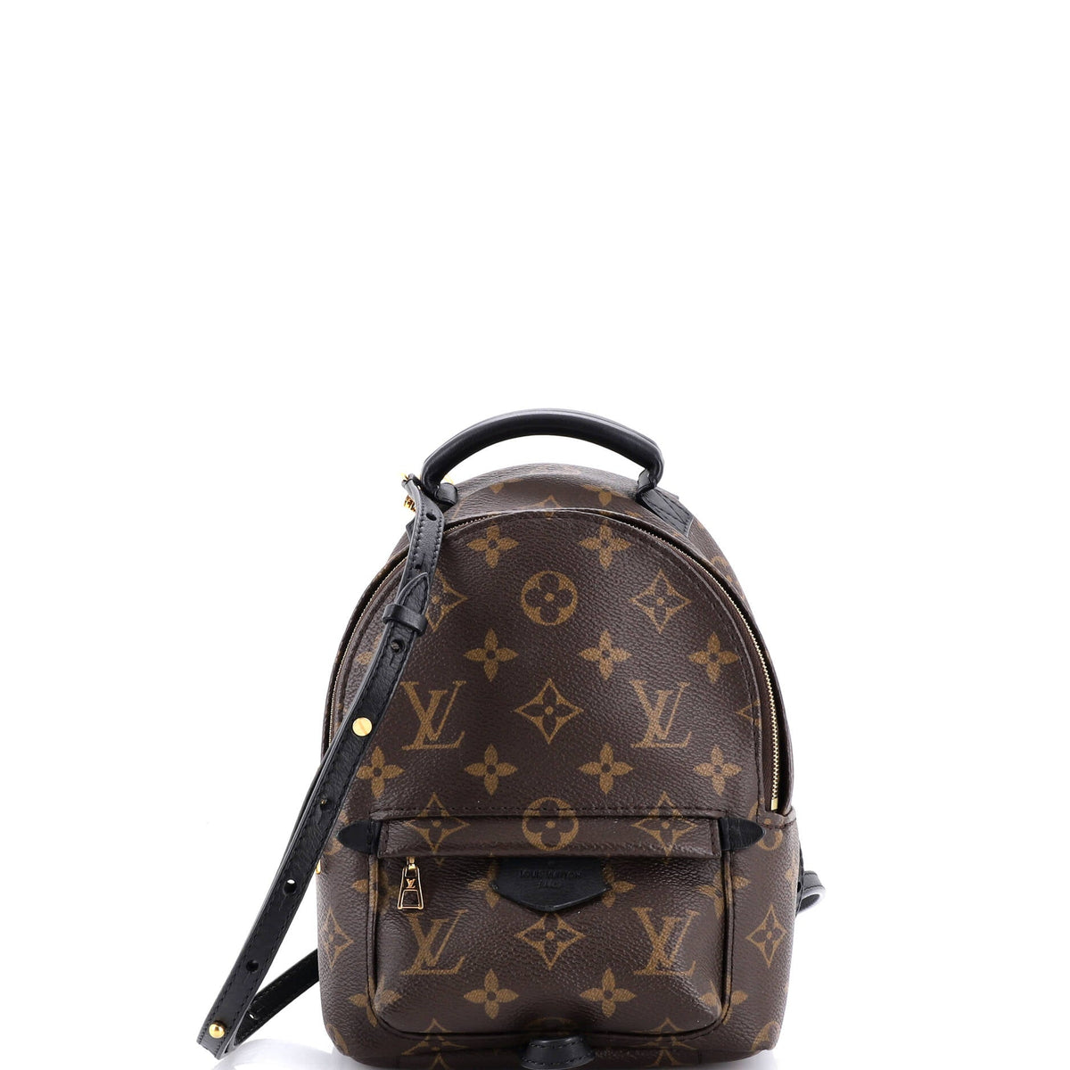 Louis Vuitton Palm Springs Backpack Monogram Canvas Mini
