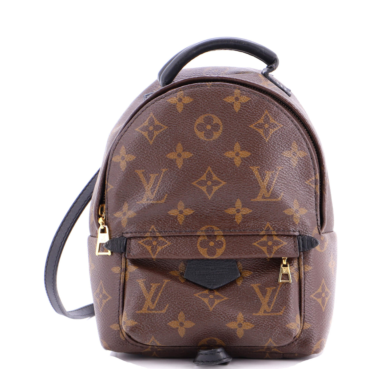 Louis Vuitton Palm Springs Backpack Monogram Canvas Mini