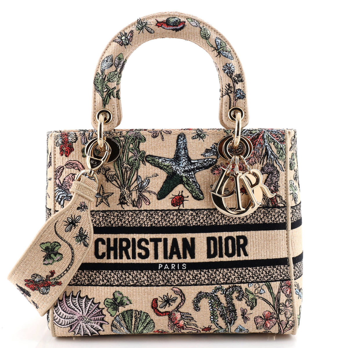 Christian Dior Lady D-Lite Bag Embroidered Raffia Medium