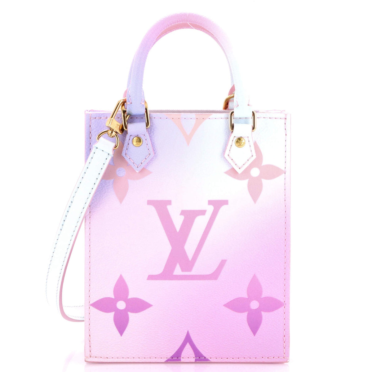 Louis Vuitton Petit Sac Plat Bag Spring in the City Monogram Giant Canvas