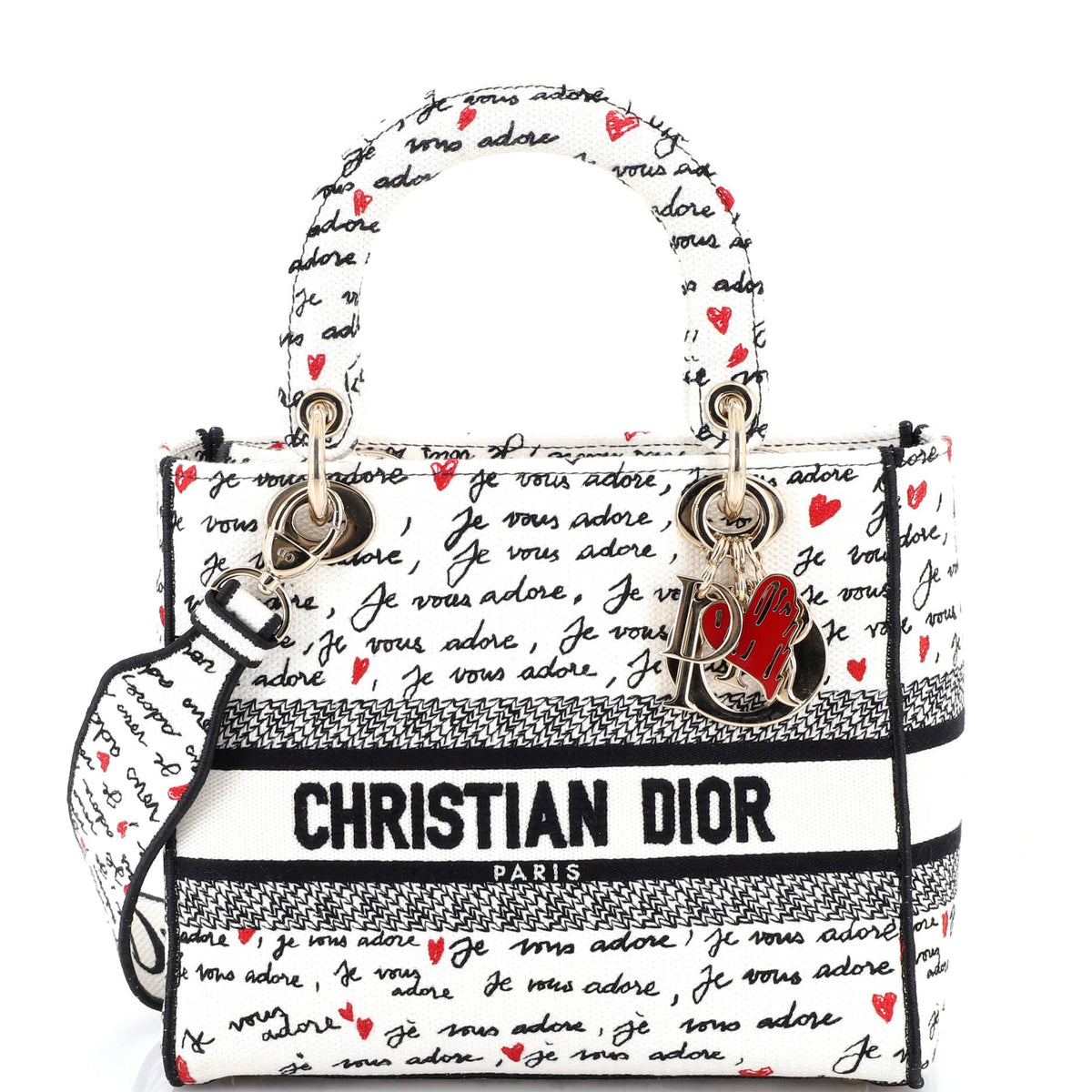 Christian Dior Lady D-Lite Bag Embroidered Canvas Medium