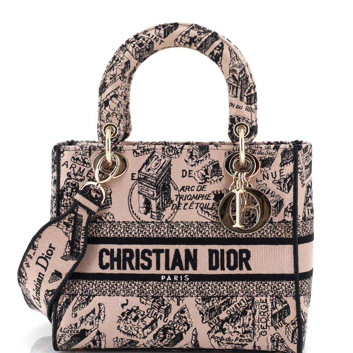 Christian Dior Lady D-Lite Bag Embroidered Canvas Medium