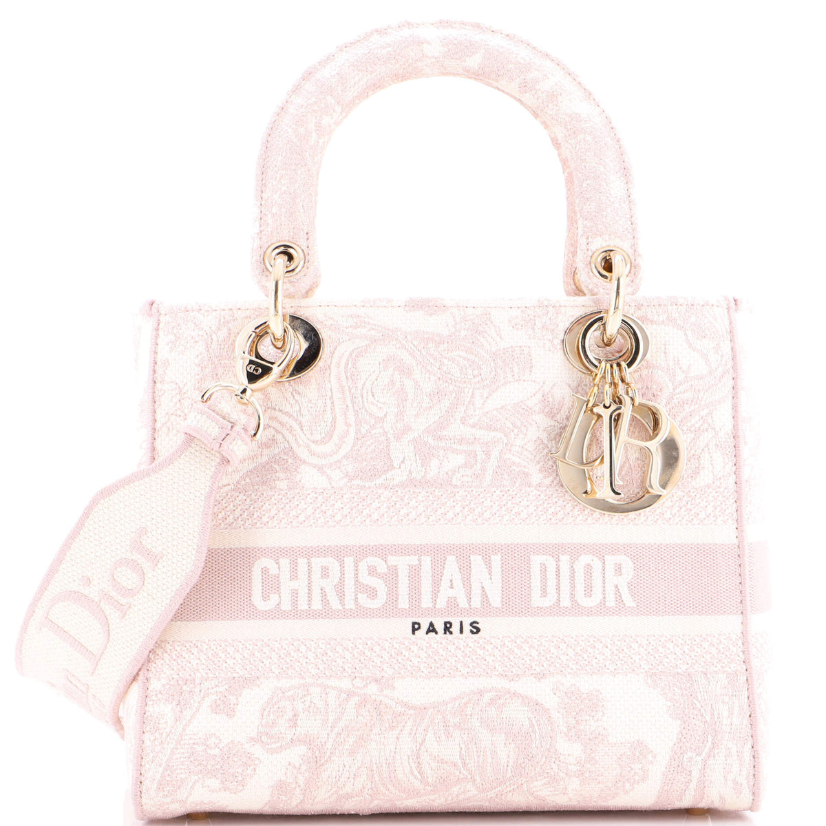Christian Dior Toile de Jouy Lady D-Lite Bag Embroidered Canvas