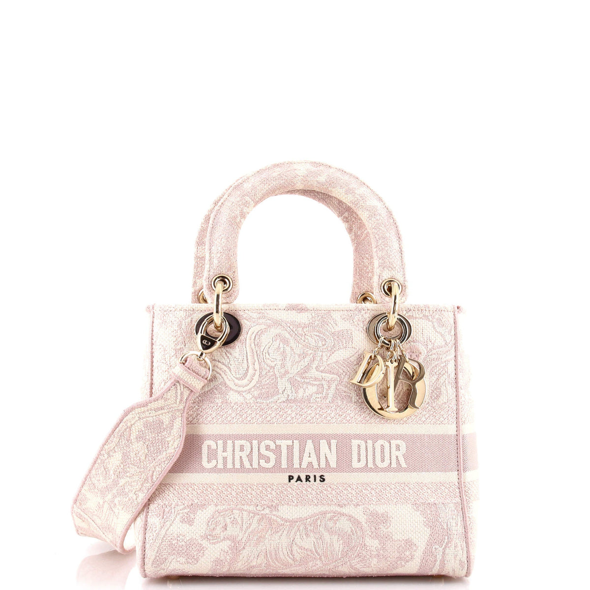 Christian Dior Toile de Jouy Lady D-Lite Bag Embroidered Canvas
