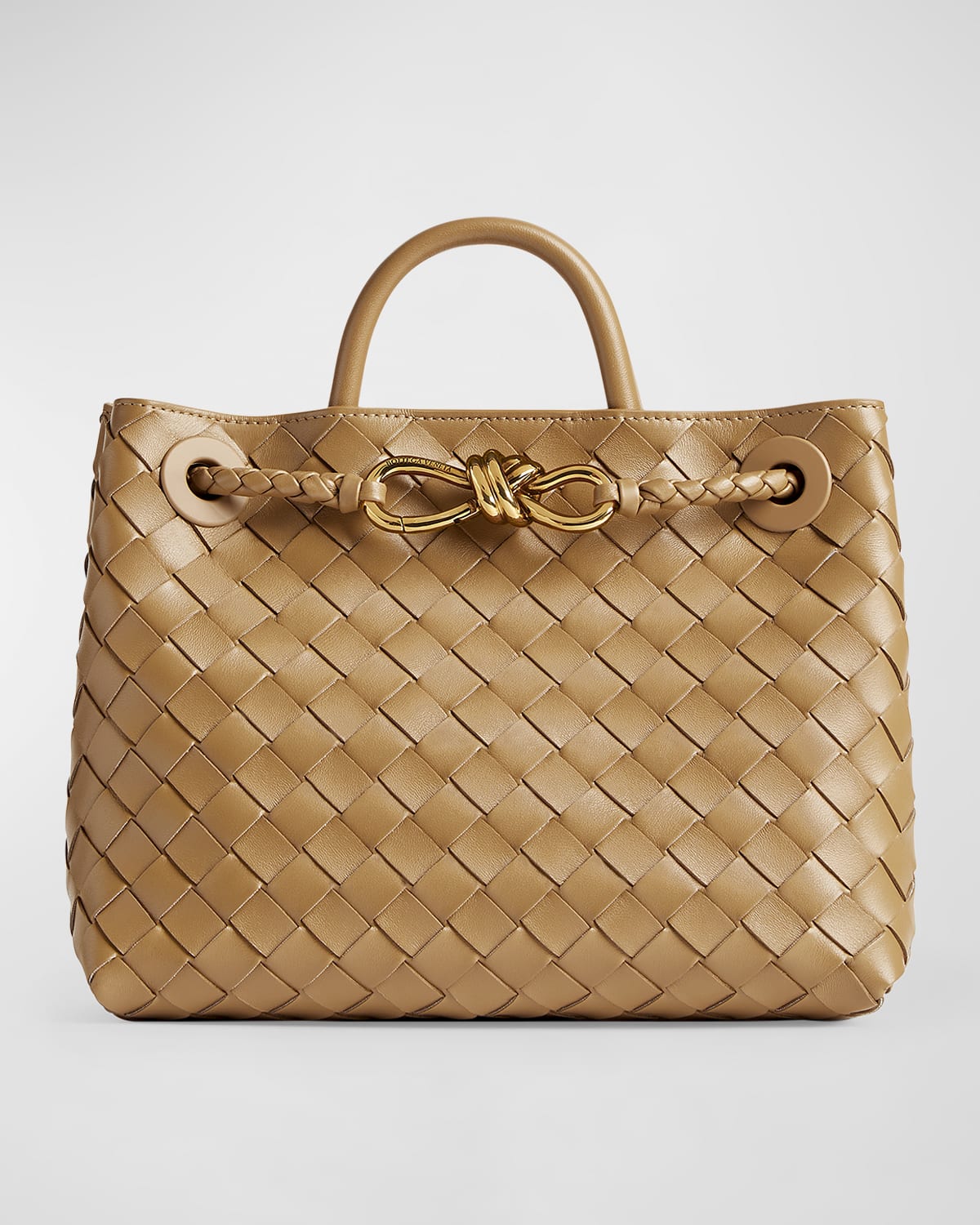 Bottega Veneta Small Andiamo Bag