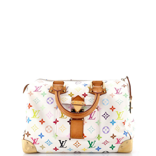 Speedy Handbag Monogram Multicolor 30