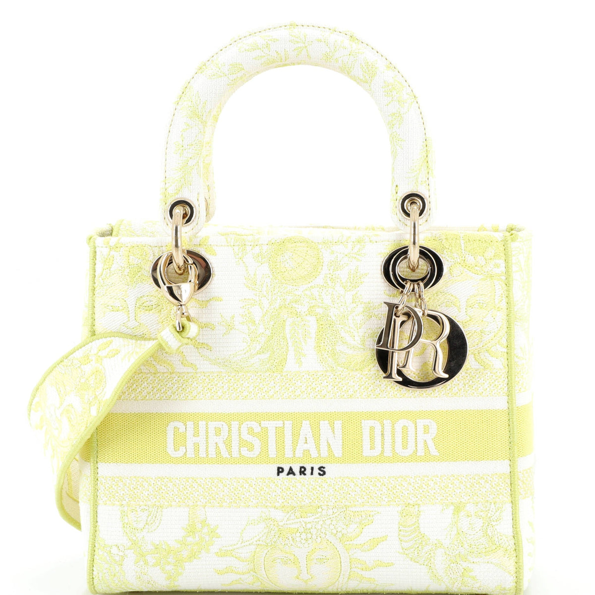 Christian Dior Lady D-Lite Bag Embroidered Canvas Medium