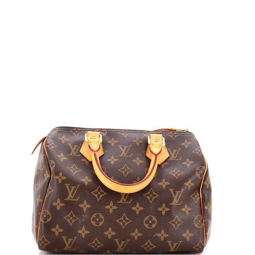 Speedy Handbag Monogram Canvas 25