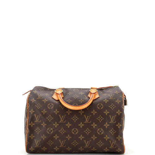 Speedy Handbag Monogram Canvas 30