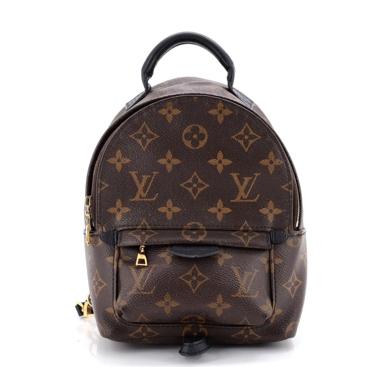 Louis Vuitton Palm Springs Backpack Monogram Canvas Mini