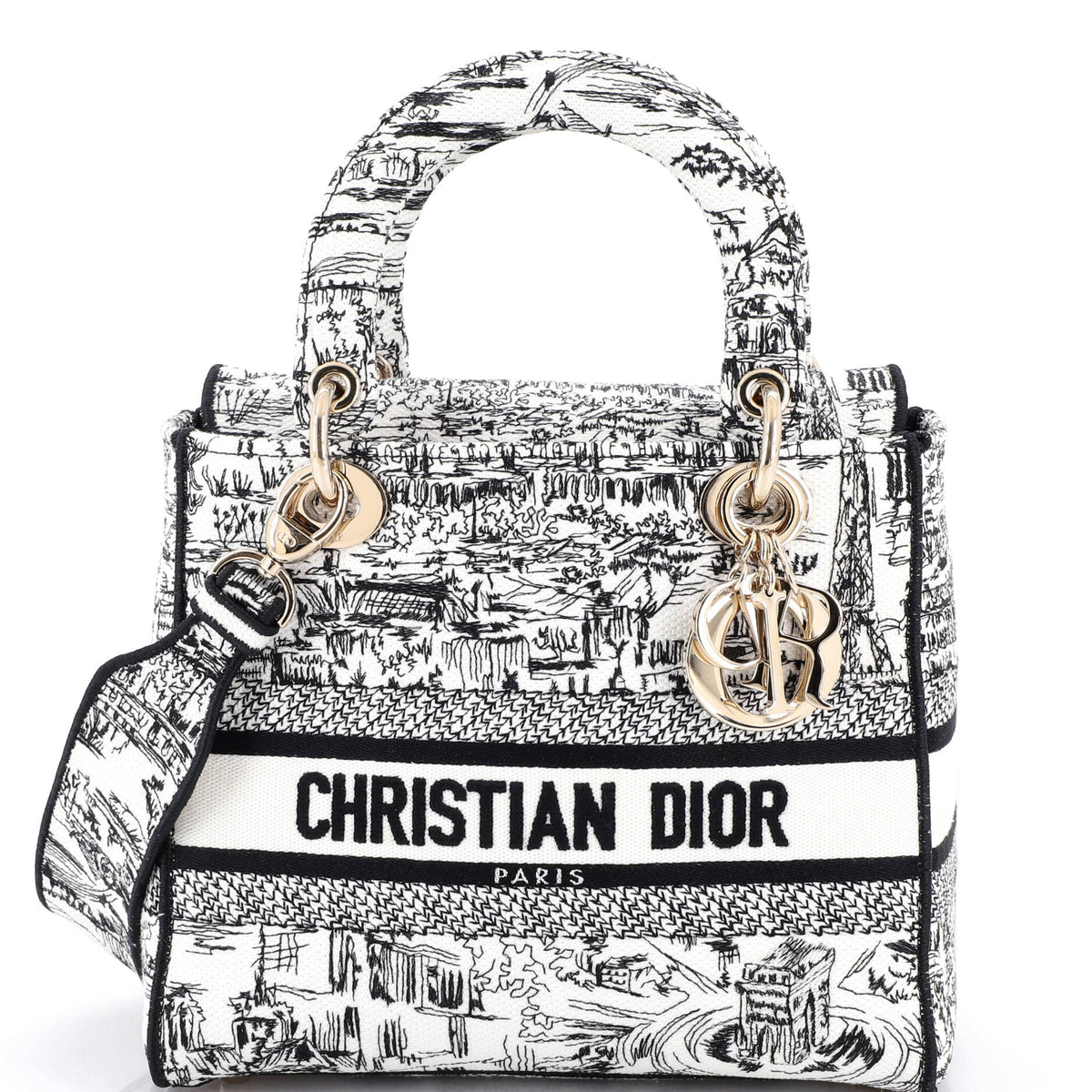 Christian Dior Lady D-Lite Bag Embroidered Canvas Medium