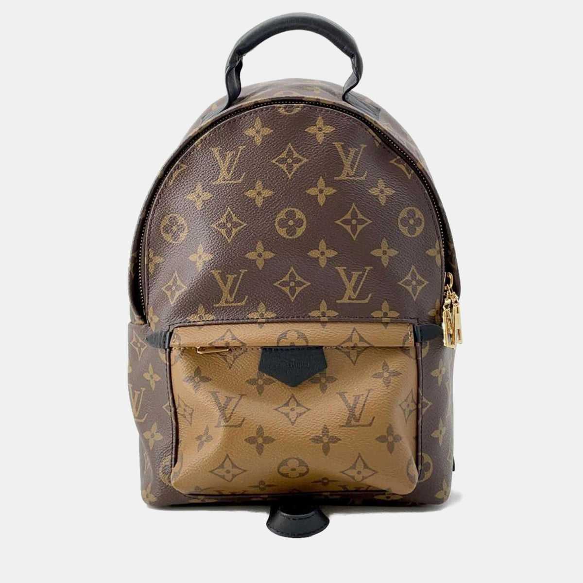 Louis Vuitton Noir Monogram Reverse Canvas Palm Springs Backpack Size PM