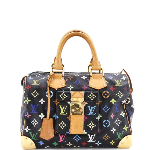 Speedy Handbag Monogram Multicolor 30