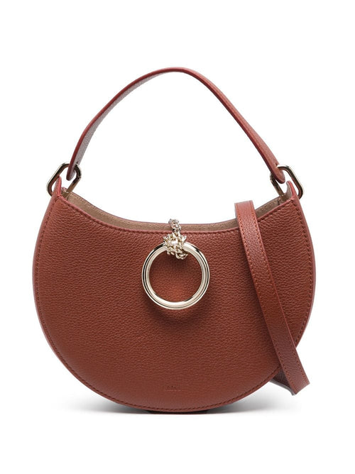Women's Arlene Small Hobo Bag in Sepi Brown | CHC23AS164K61