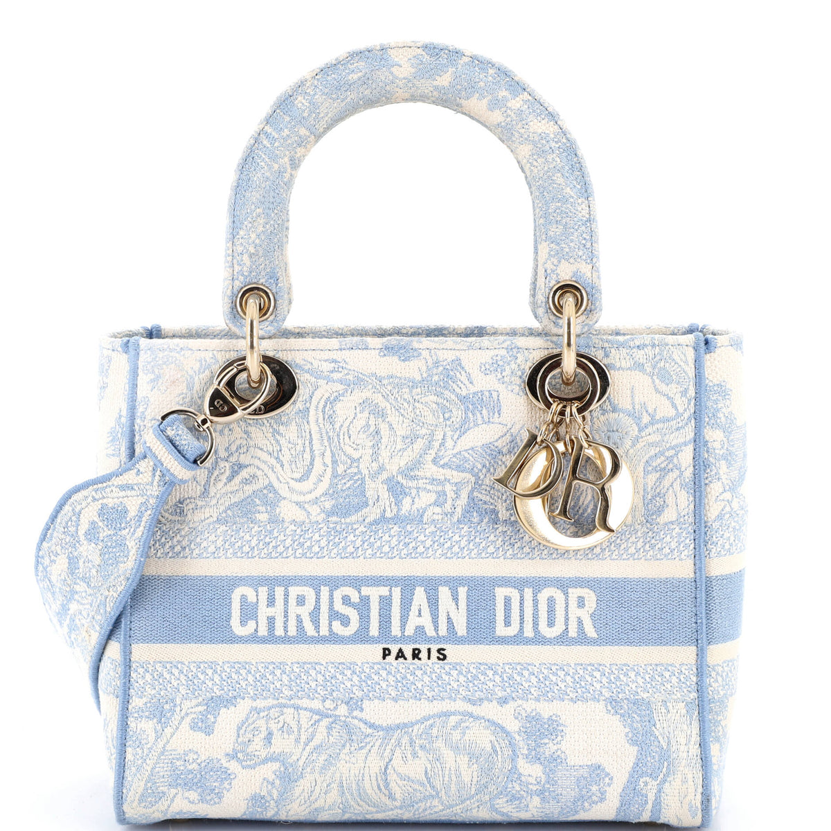 Christian Dior Lady D-Lite Bag Embroidered Canvas Medium