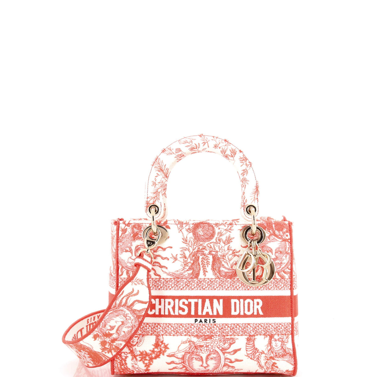 Christian Dior Lady D-Lite Bag Embroidered Canvas Medium