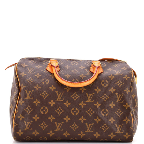 Speedy Handbag Monogram Canvas 30