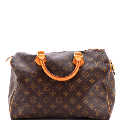 Speedy Handbag Monogram Canvas 30