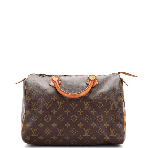 Speedy Handbag Monogram Canvas 30