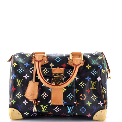 Speedy Handbag Monogram Multicolor 30