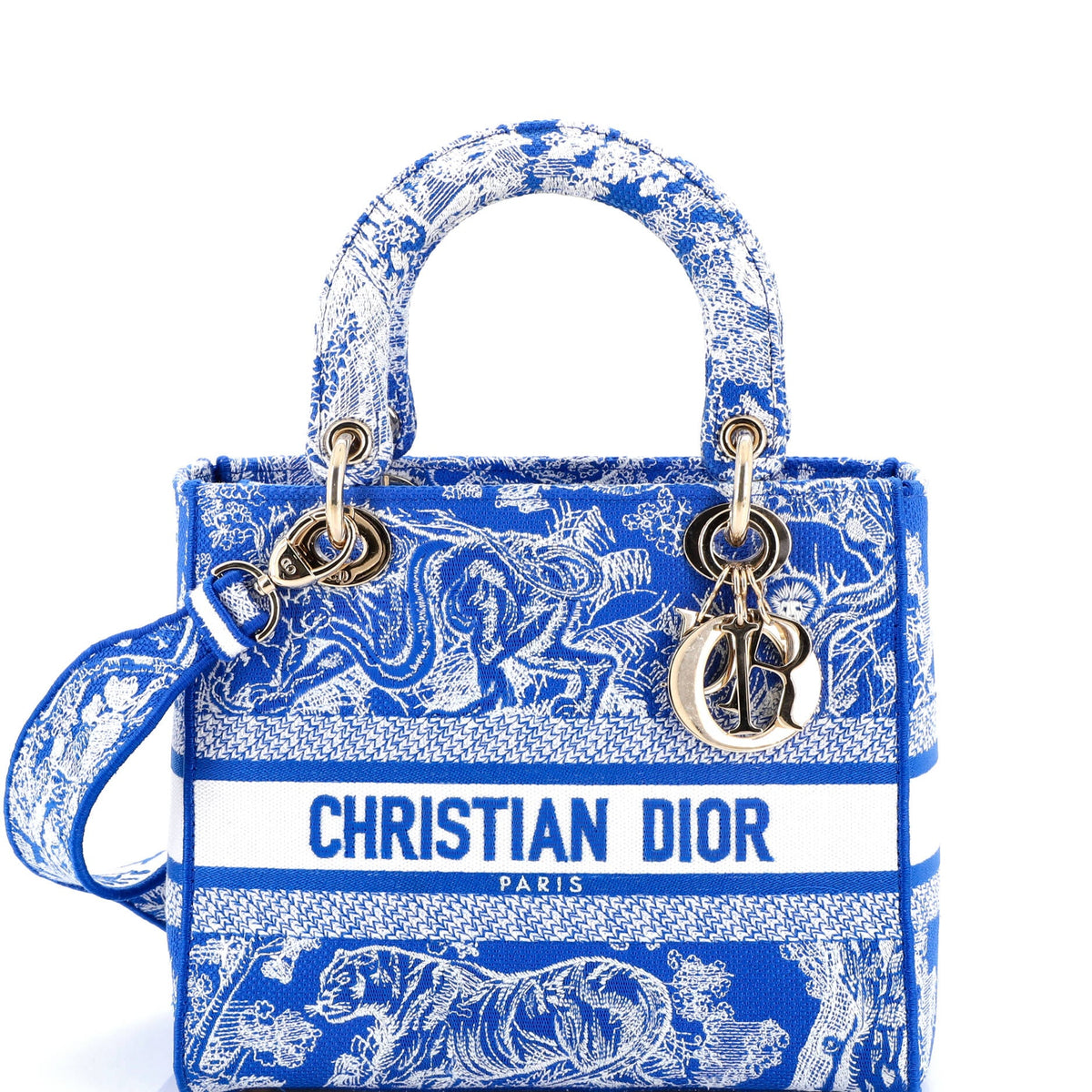 Christian Dior Lady D-Lite Bag Embroidered Canvas Medium