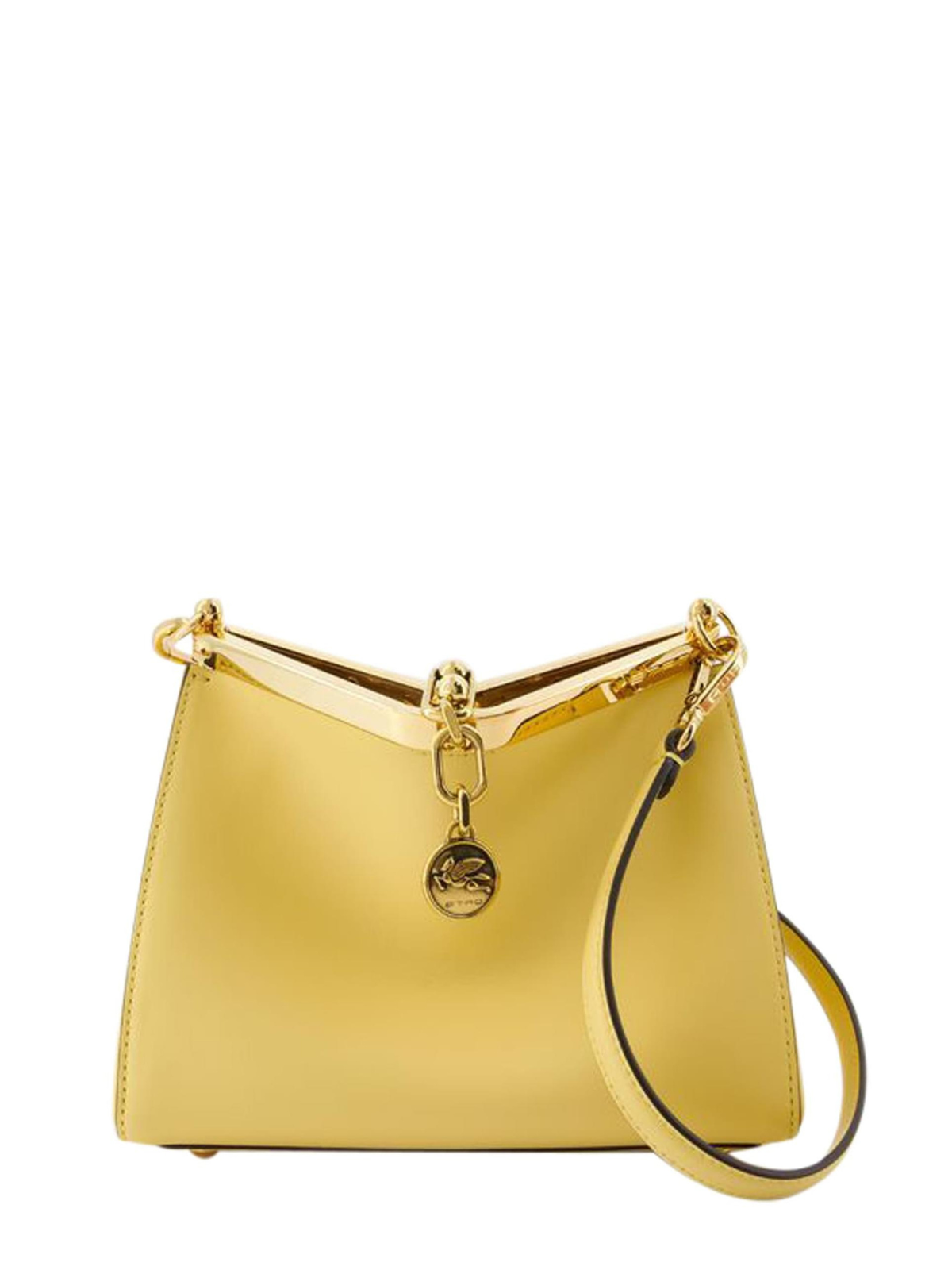 Etro Women's Vela Mini Hobo Bag in Brown | WP1B0001AU022Y0416