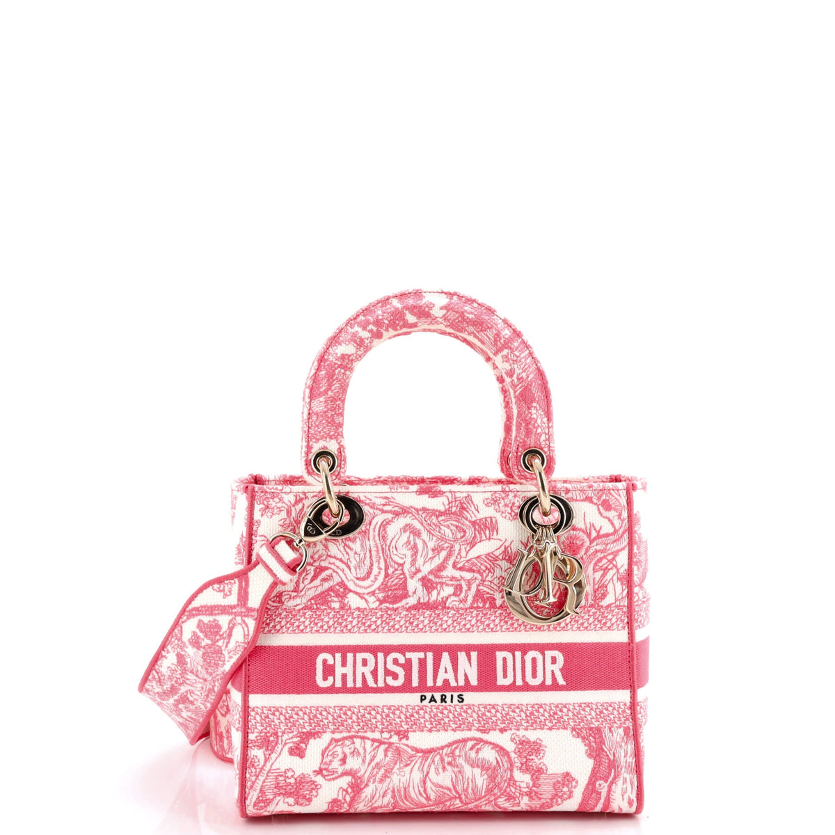 Christian Dior Toile de Jouy Lady D-Lite Bag Embroidered Canvas