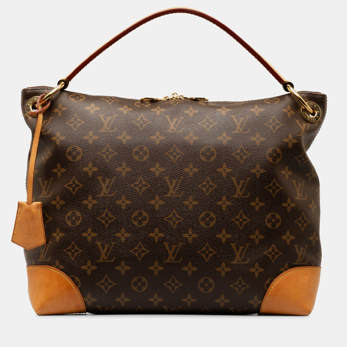 Louis Vuitton Monogram Berri PM