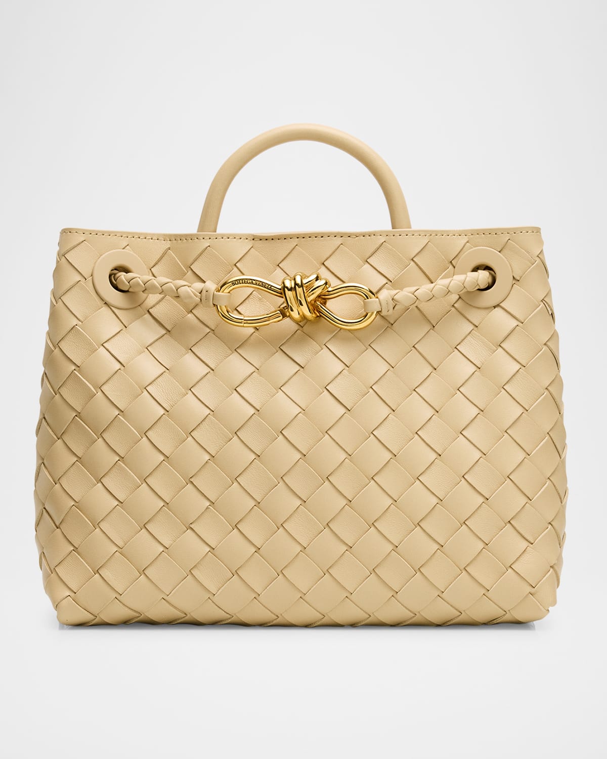 Bottega Veneta Small Andiamo Bag