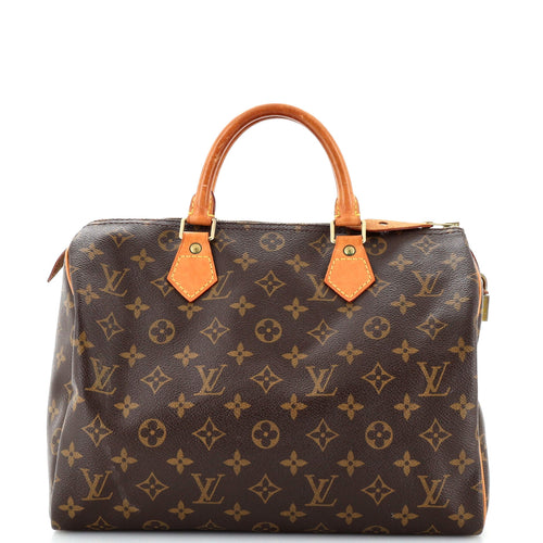 Speedy Handbag Monogram Canvas 30