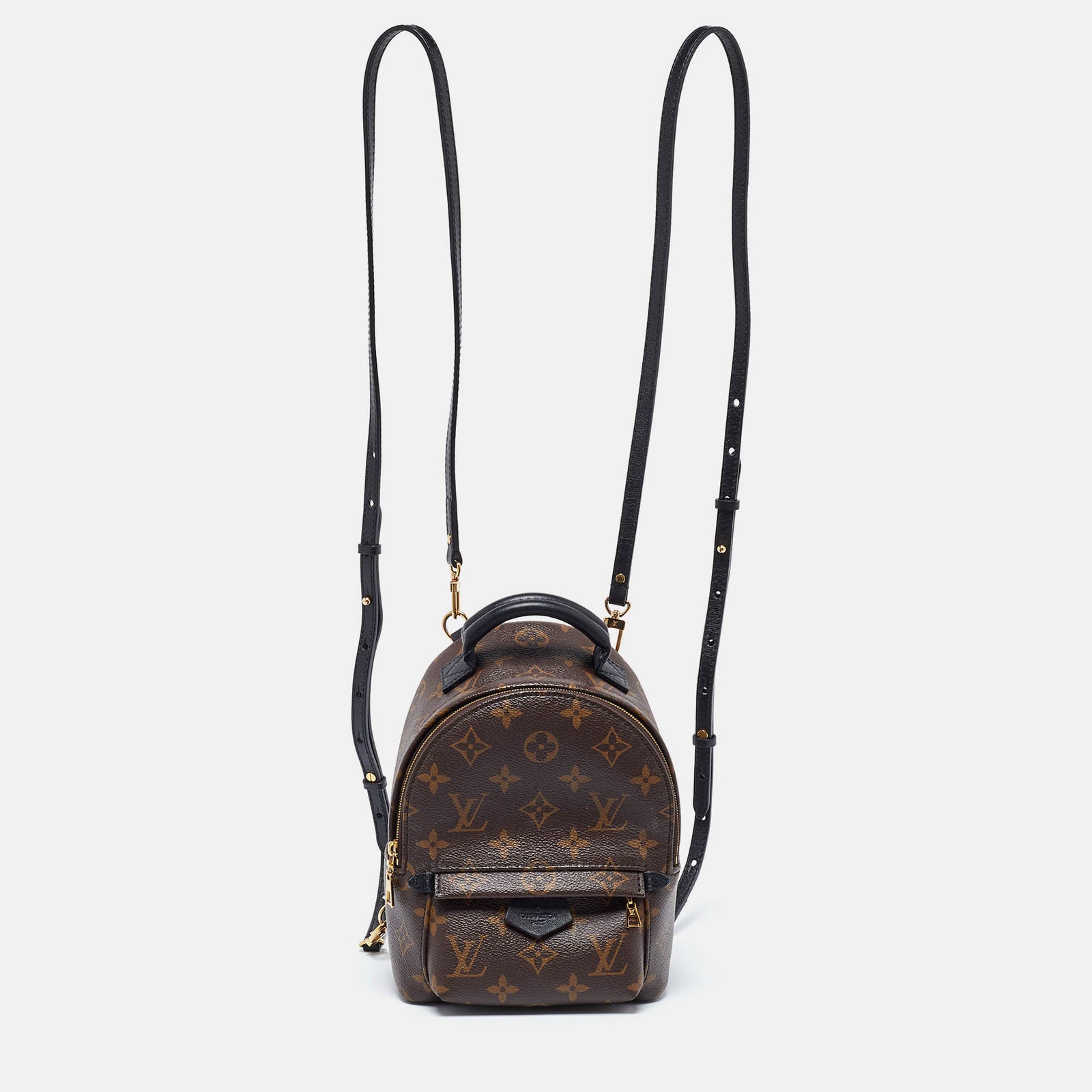 Louis Vuitton Mini-Rucksack „Palm Springs“ aus Canvas mit Monogramm