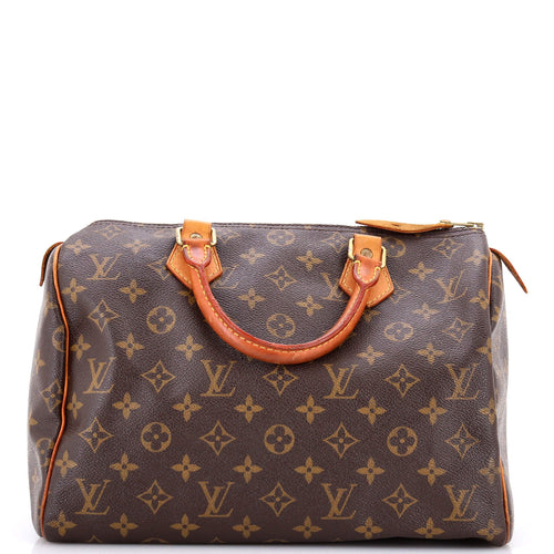 Speedy Handbag Monogram Canvas 30