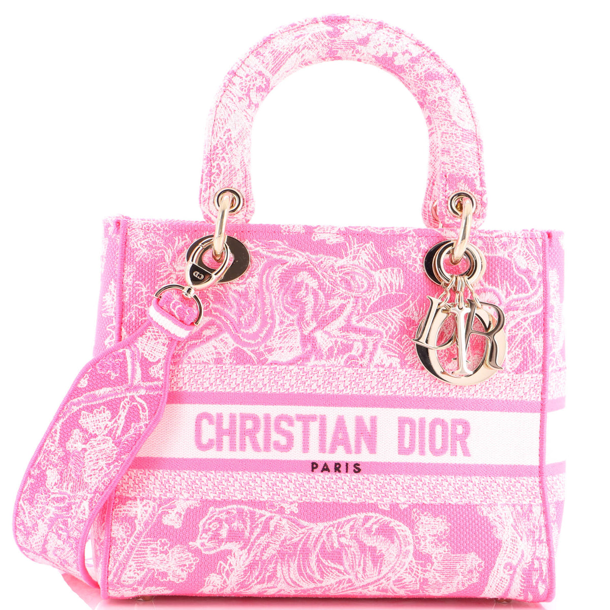 Christian Dior Toile de Jouy Lady D-Lite Bag Embroidered Canvas