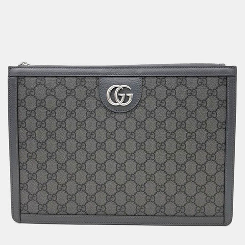 Ophidia Portfolio Case