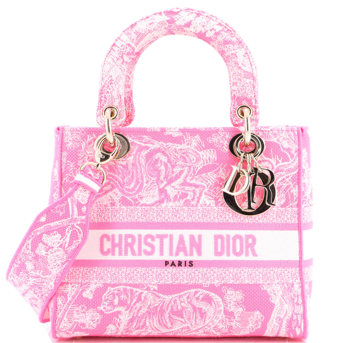 Christian Dior Toile de Jouy Lady D-Lite Bag Embroidered Canvas