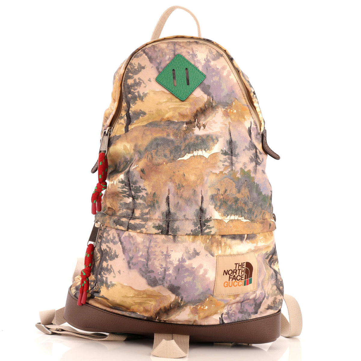 Gucci GUCCI x The North Face Zip Backpack Printed Nylon Medium