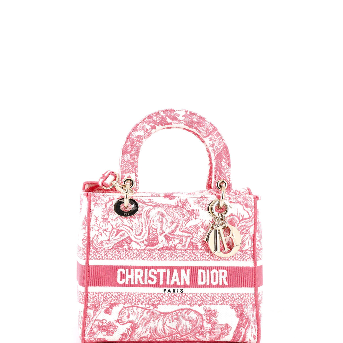 Christian Dior Toile de Jouy Lady D-Lite Bag Embroidered Canvas