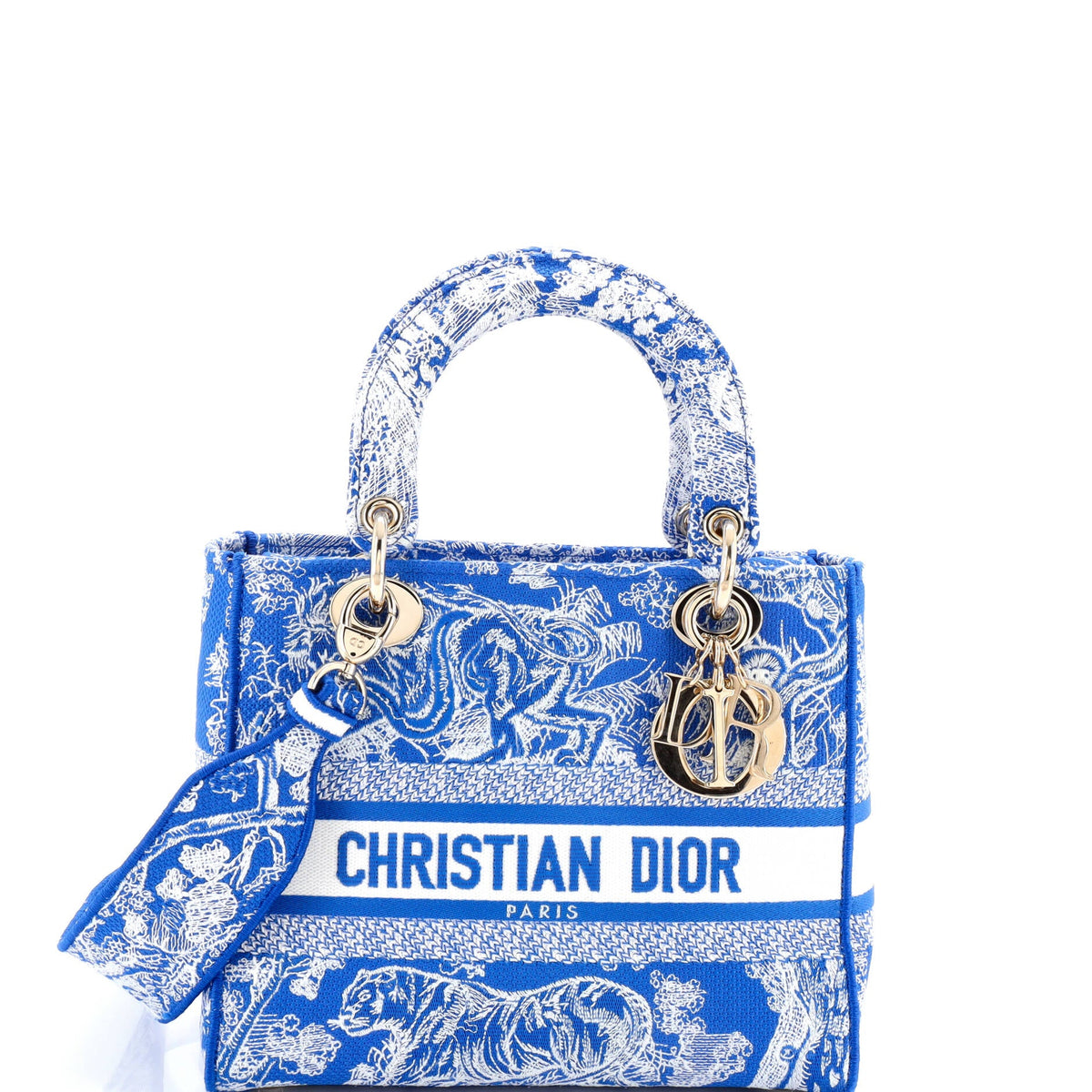 Christian Dior Toile de Jouy Lady D-Lite Bag Embroidered Canvas