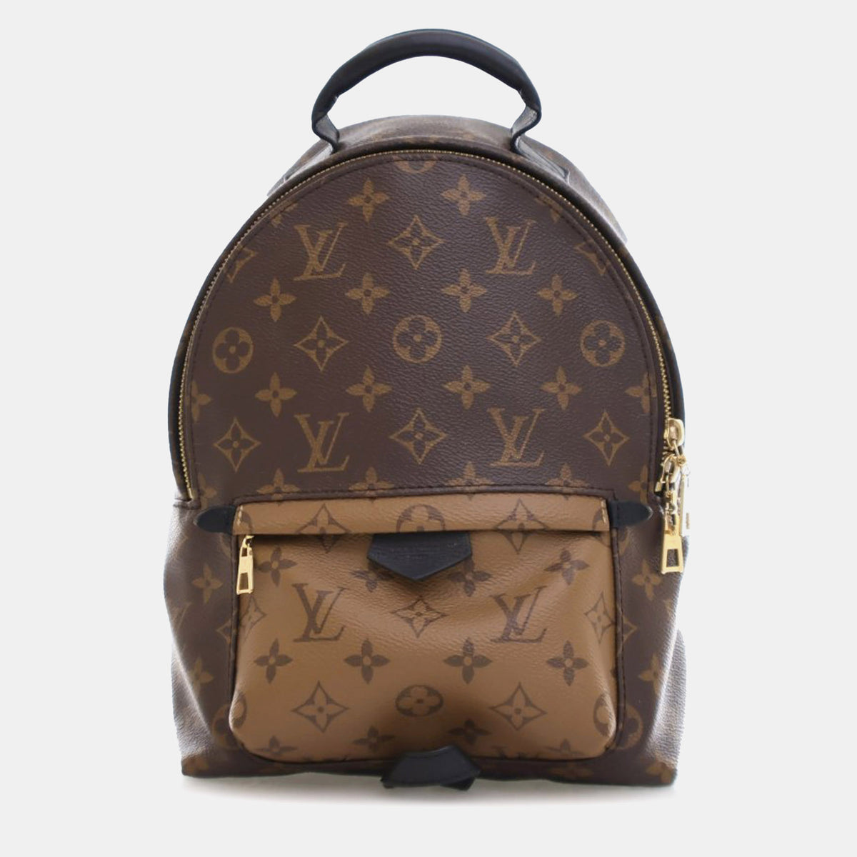 Louis Vuitton Monogram Reverse Palm Springs PM Backpack